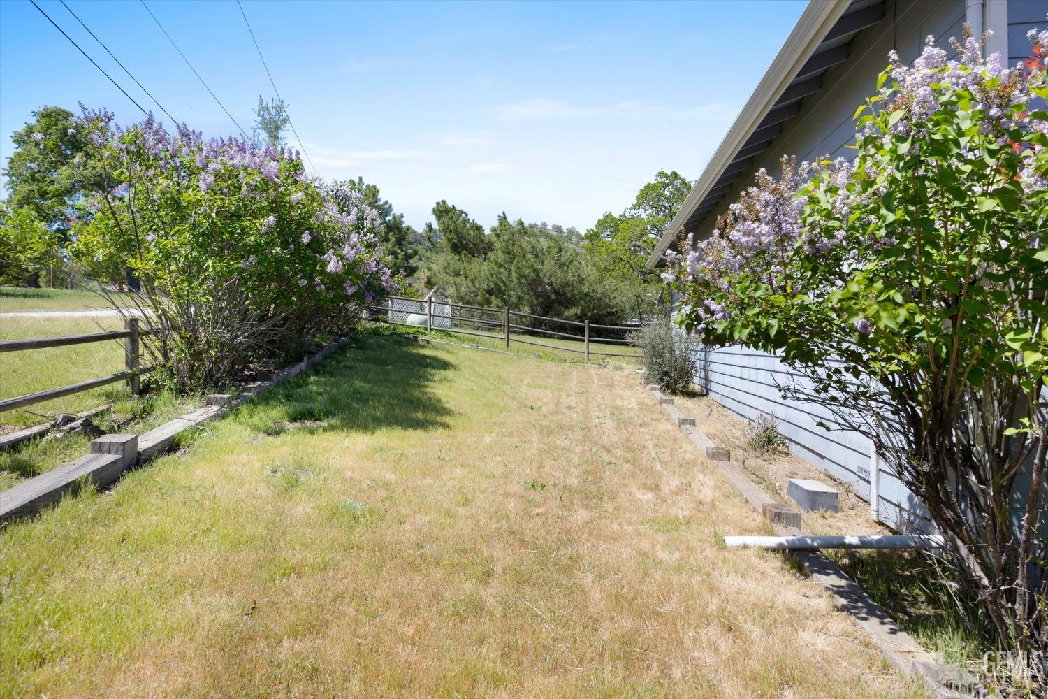 Undisclosed Address Tehachapi, CA 93561 - Photo 42 of 47 a backyard of a house with lots of green space