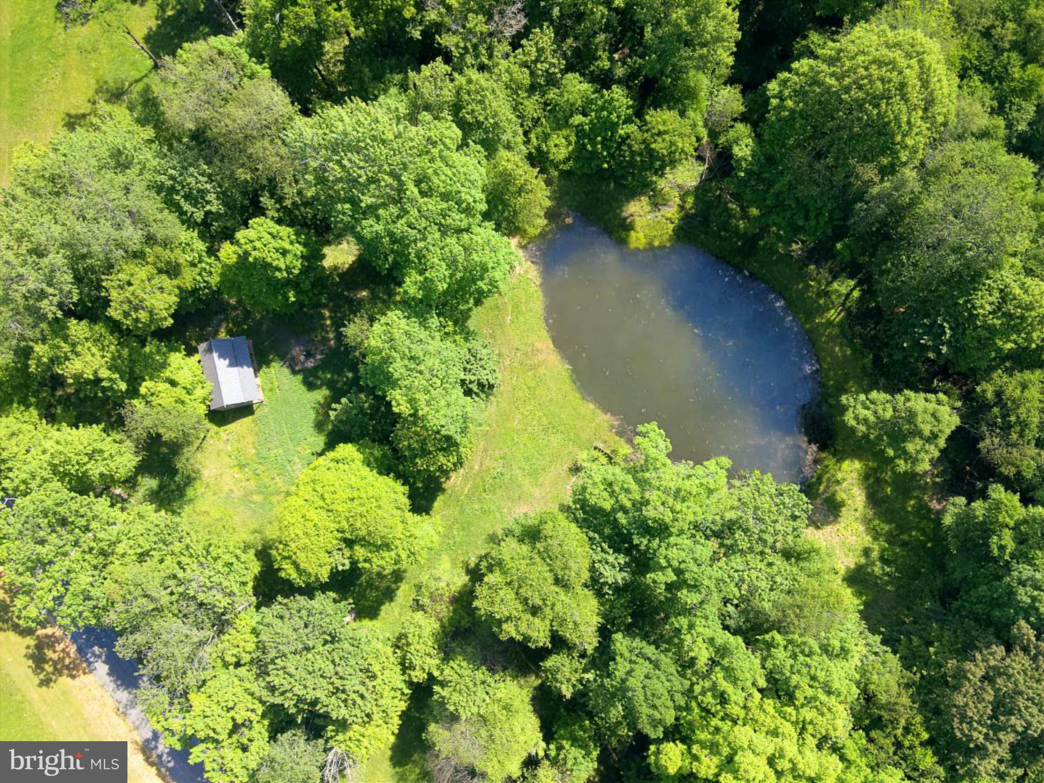 301 Dinkenberger Road Kingwood, WV 26537 - Photo 5 of 57 an aerial view of a residential houses with yard and green space