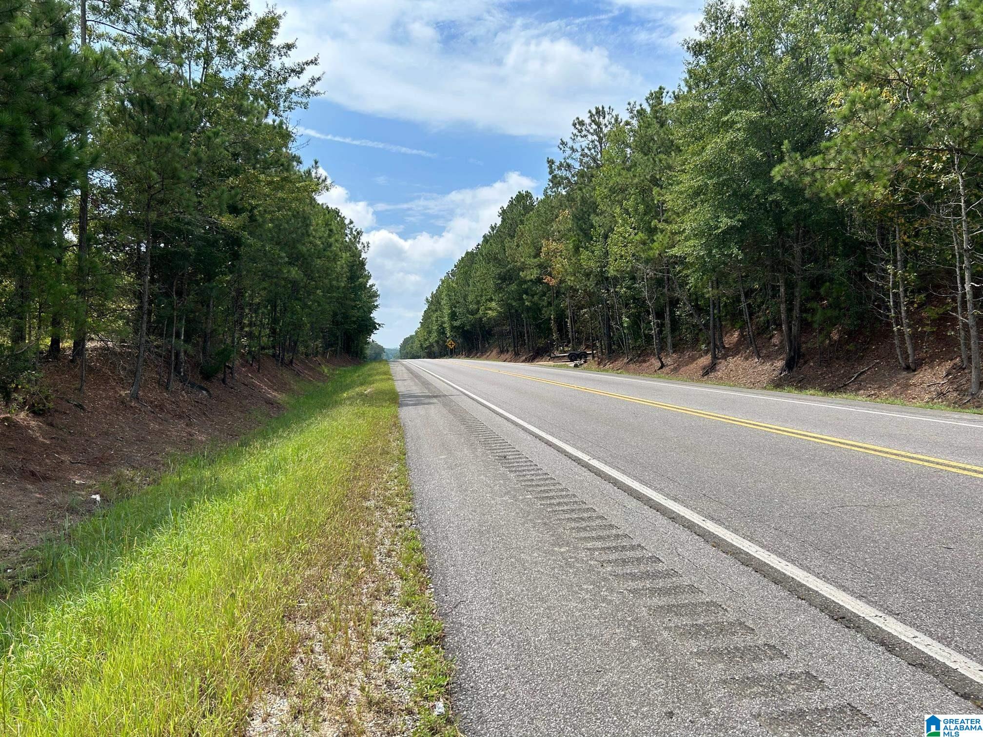 0 Alabama Highway Ohatchee, AL 36271 - Photo 5 of 10