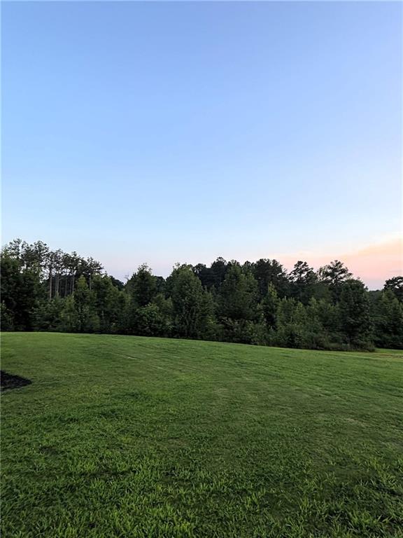 533 Lively Road Waco, GA 30182 - Photo 11 of 44 Gallery Image 11