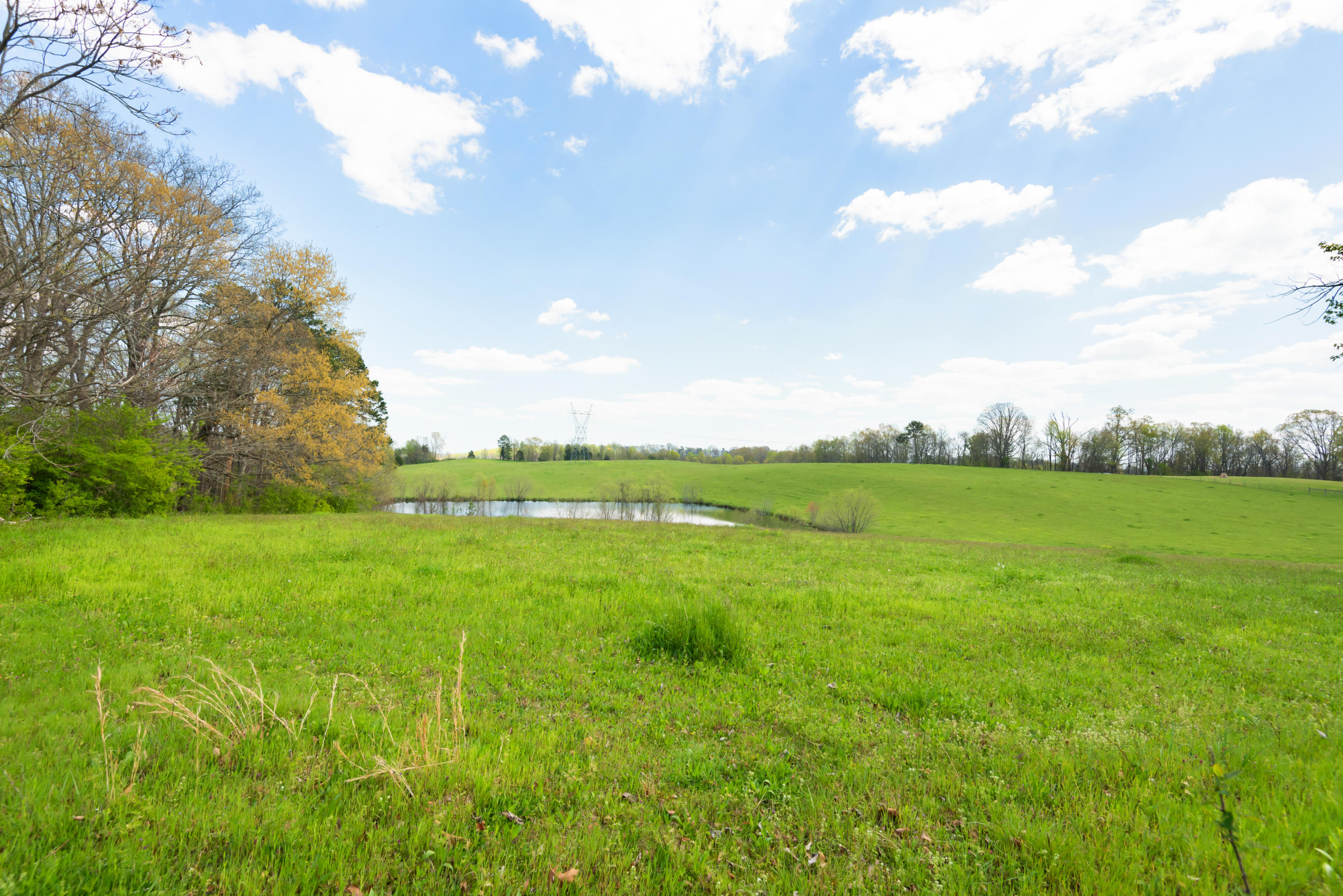 2844 Oakland Road Philadelphia, TN 37846 - Photo 29 of 39 2844OaklandRd-24