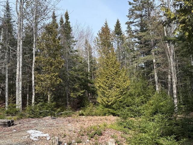 1 Gator Road Machiasport, ME 04655 - Photo 39 of 40 IMG_3550