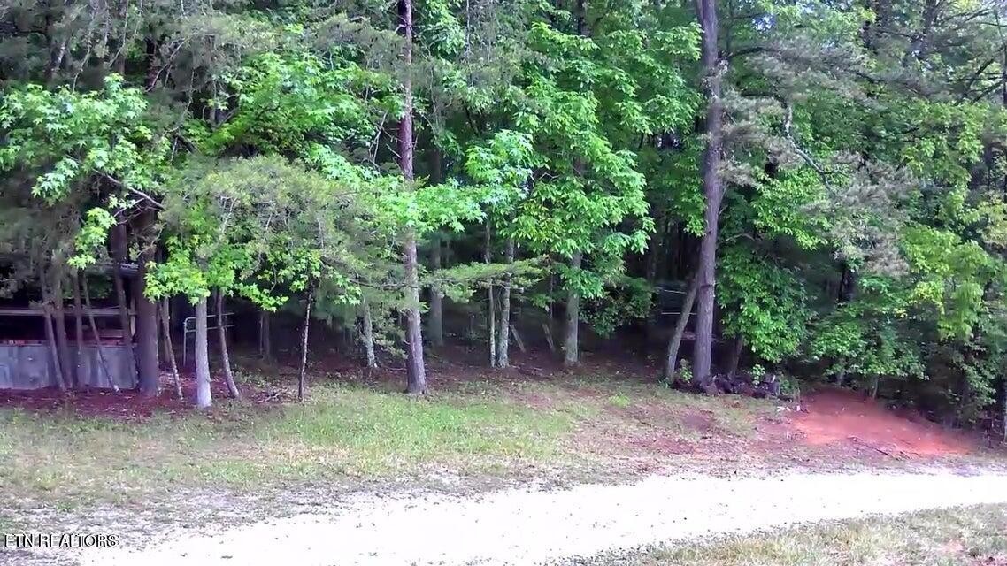188 Dalton Branch Road Tellico Plains, TN 37385 - Photo 5 of 42