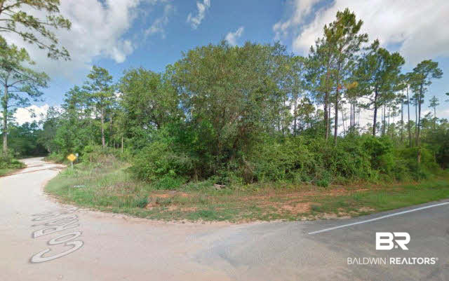 18031 3 Rivers Road Seminole, AL 36574 - Photo 4 of 5 Gallery Image 4