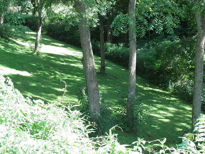 2124 River Hill Road Monongahela, PA 15063 - Photo 2 of 16 Yard/Garden.
