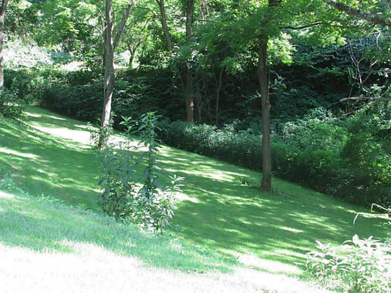 2124 River Hill Road Monongahela, PA 15063 - Photo 3 of 16 Yard/Garden.