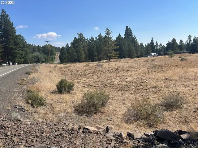 a view of a dry yard with trees