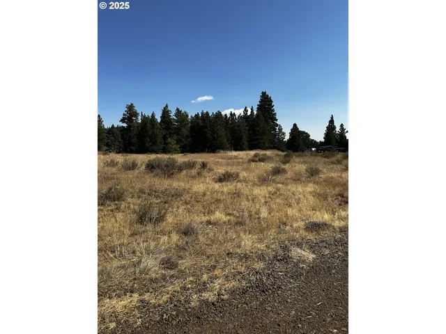 a view of a dry yard