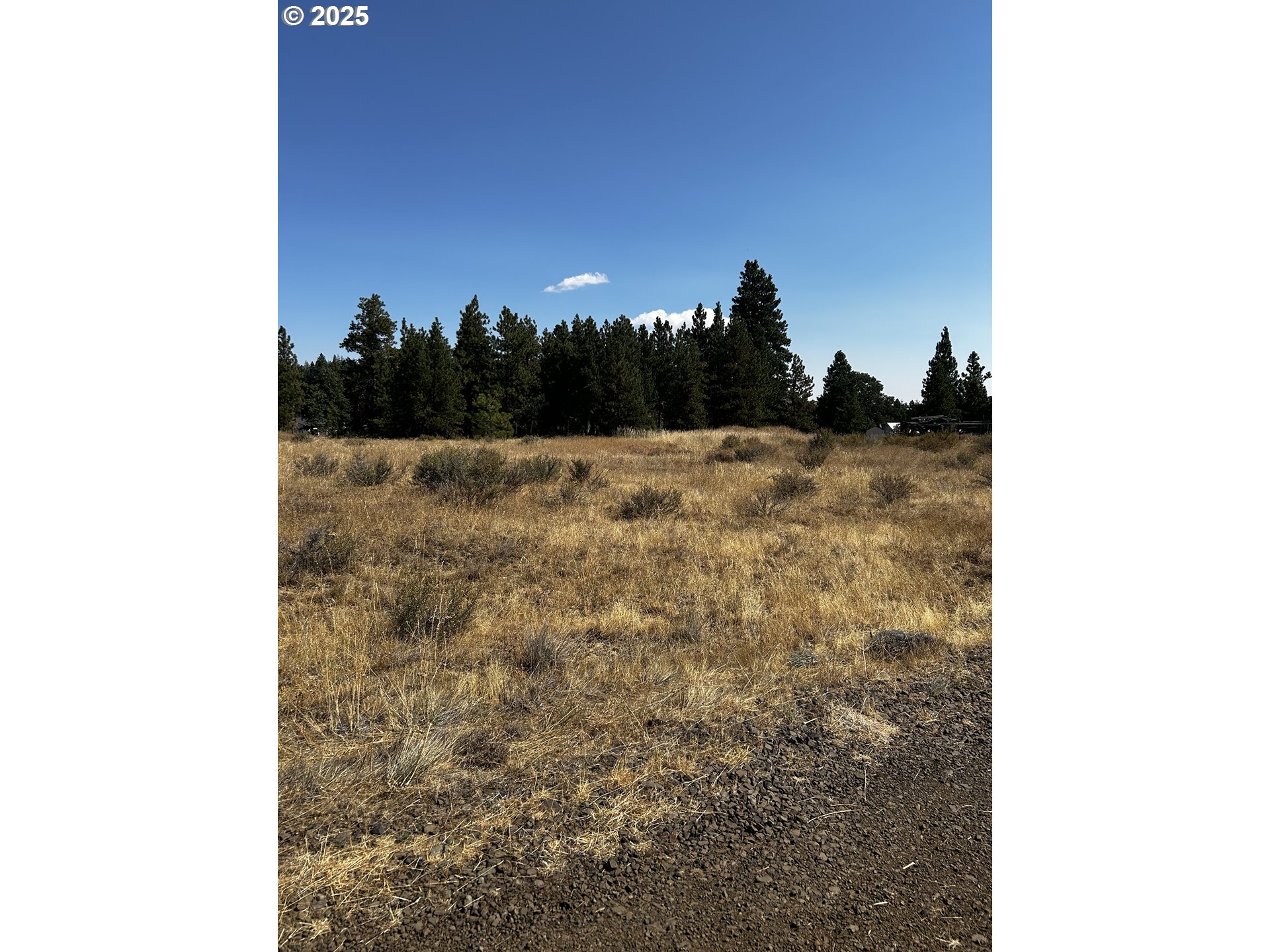 22 Bickleton Highway Roosevelt, WA 99356 - Photo 2 of 13 a view of a dry yard