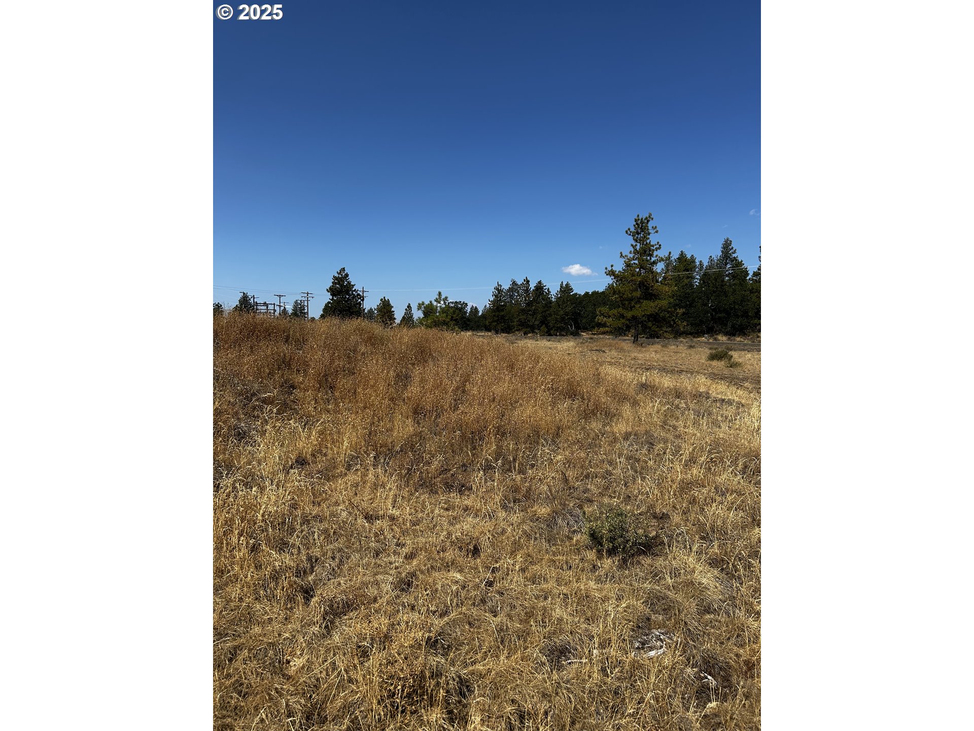 22 Bickleton Highway Roosevelt, WA 99356 - Photo 6 of 13 a view of a pathway