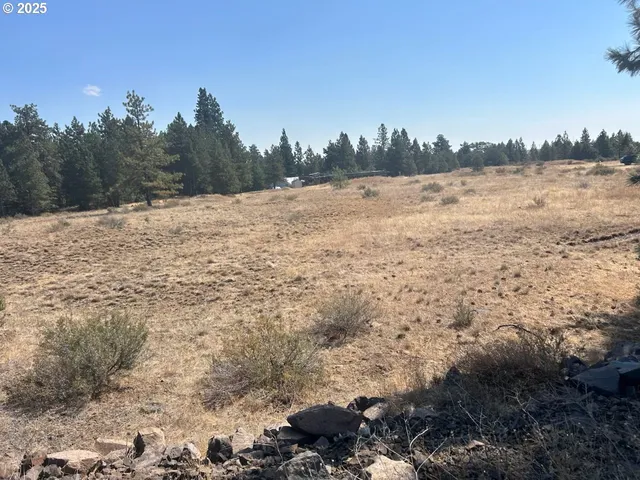 a view of a field with trees in the background