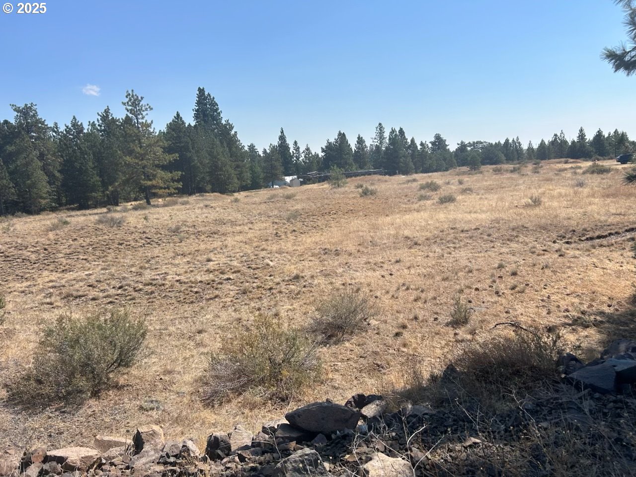 22 Bickleton Highway Roosevelt, WA 99356 - Photo 7 of 13 a view of a field with trees in the background