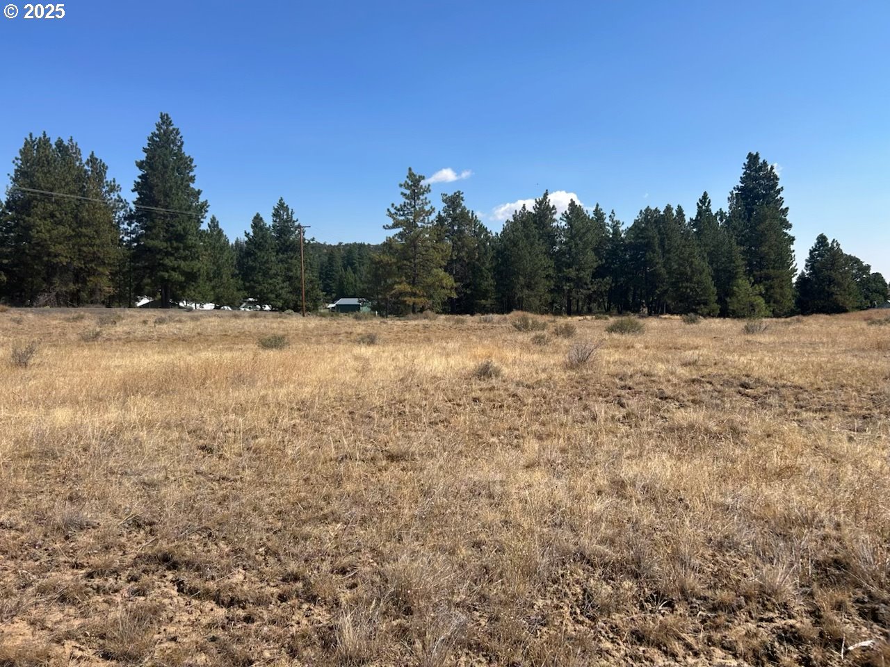 22 Bickleton Highway Roosevelt, WA 99356 - Photo 8 of 13 a view of open space with mountain view
