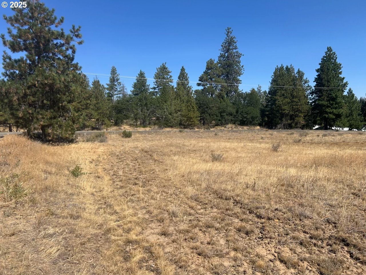 22 Bickleton Highway Roosevelt, WA 99356 - Photo 9 of 13 a view of empty field with trees in the background