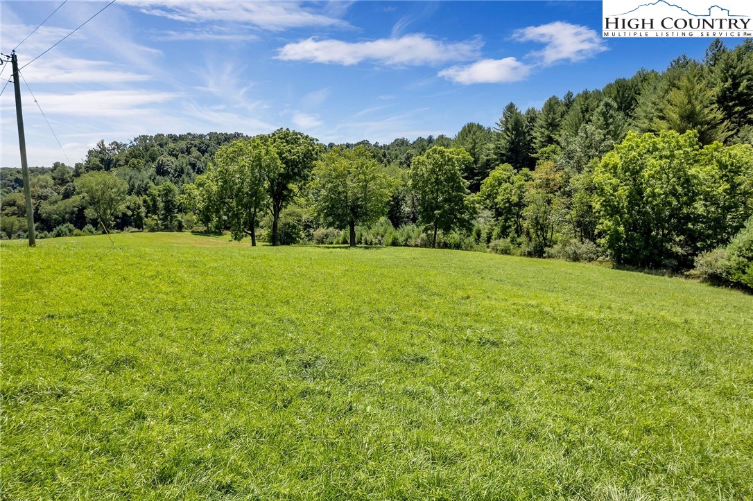 Chestnut Way Crumpler, NC 28617 - Photo 16 of 25 Gallery Image 16
