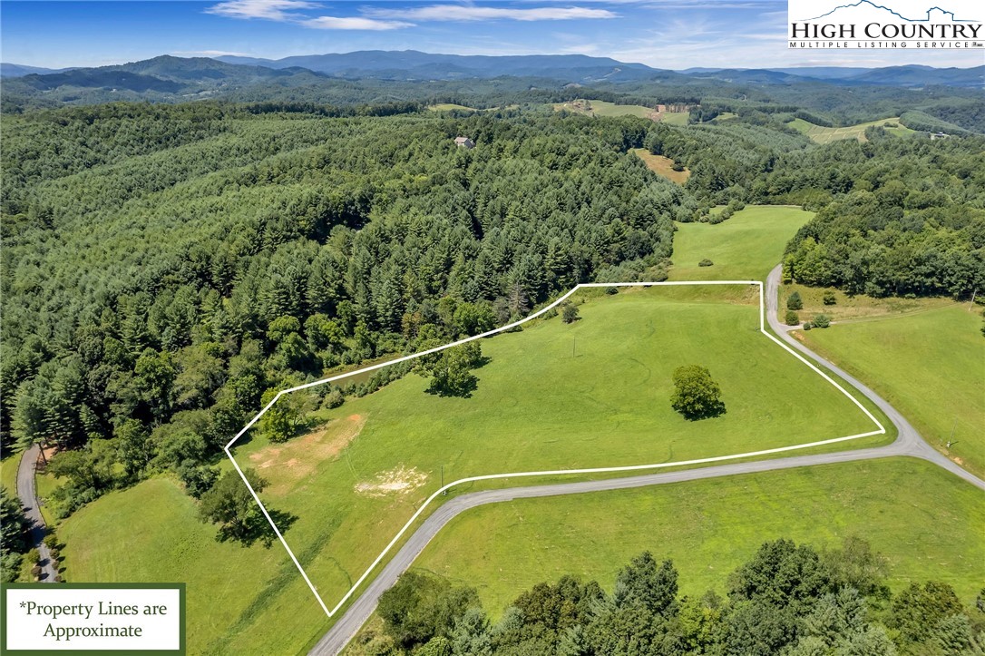 Chestnut Way Crumpler, NC 28617 - Photo 2 of 25 Gallery Image 2