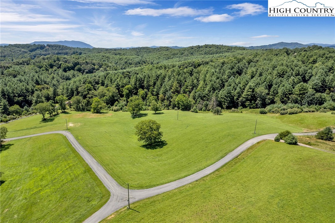 Chestnut Way Crumpler, NC 28617 - Photo 5 of 25 Gallery Image 5