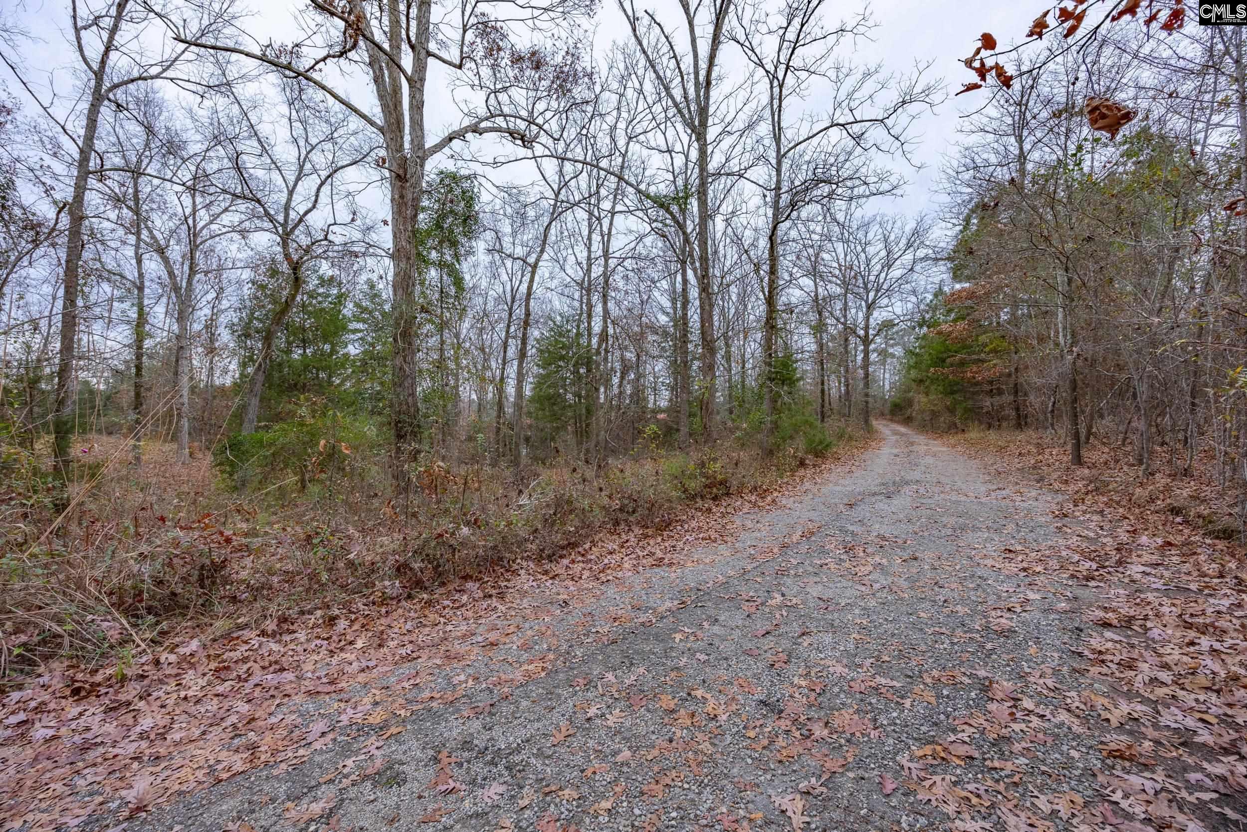 151 State Rd S-32-1327 Gilbert, SC 29054 - Photo 43 of 45