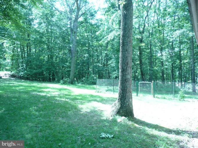 10918 Dutch Hollow Road Rixeyville, VA 22737 - Photo 13 of 14 Wooded View / Acreage