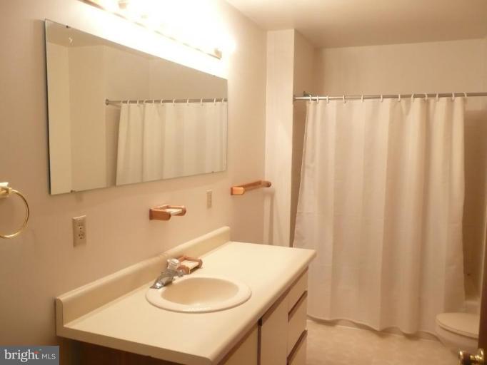 10918 Dutch Hollow Road Rixeyville, VA 22737 - Photo 4 of 14 Bath #1