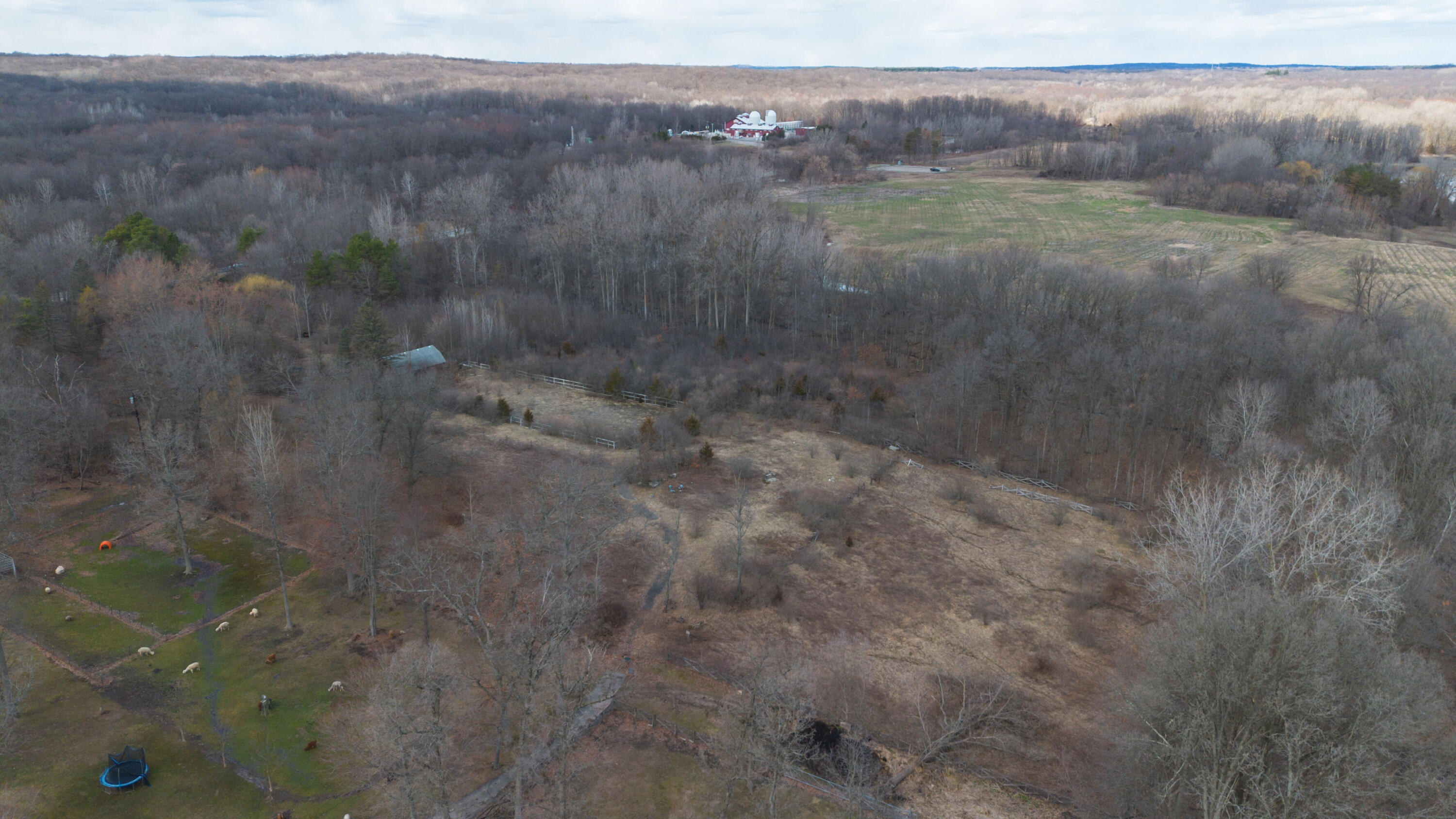 2725 South Duck Lake Road Highland, MI 48356 - Photo 20 of 24 00__9