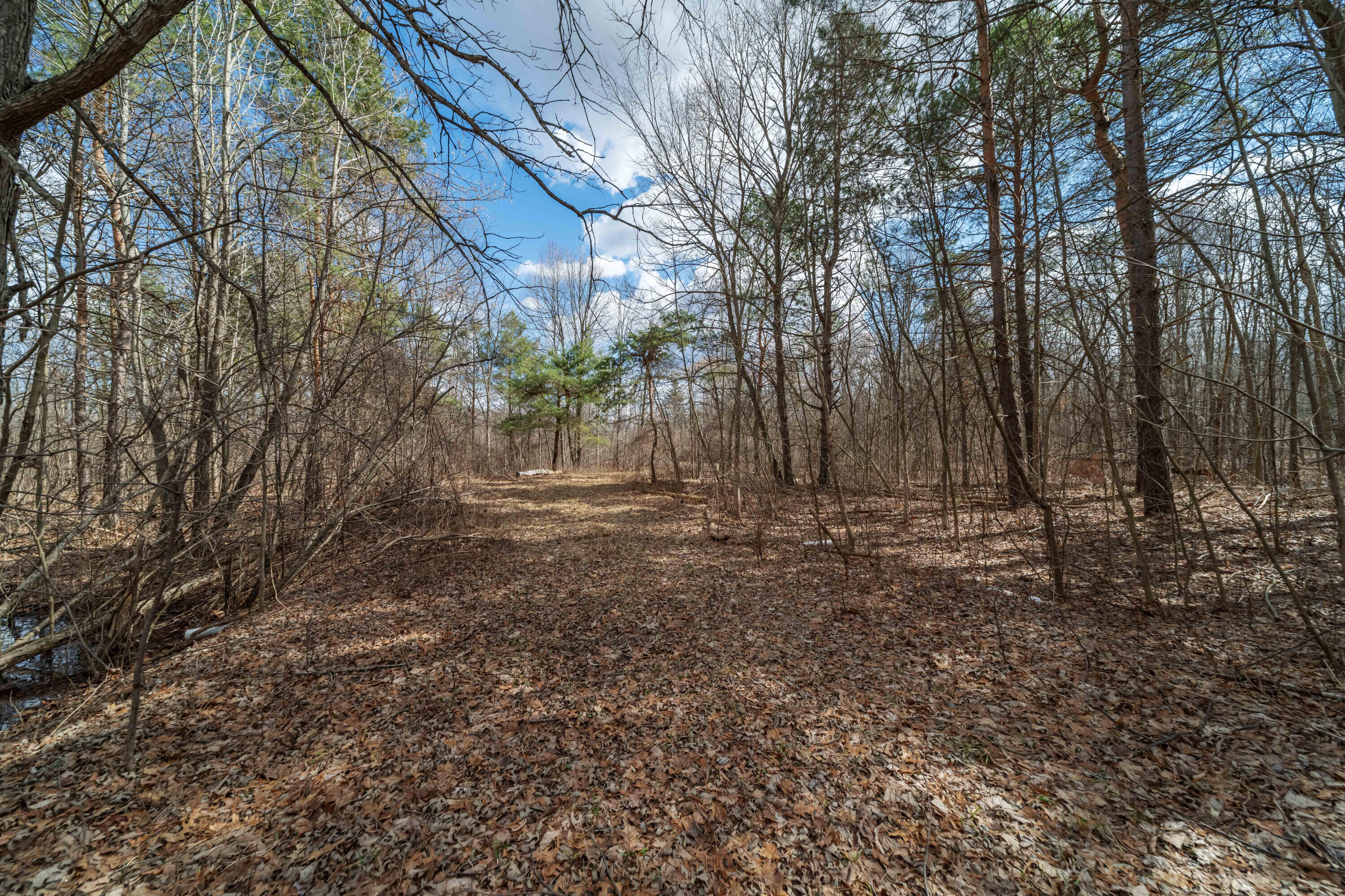 2725 South Duck Lake Road Highland, MI 48356 - Photo 2 of 24 00__12