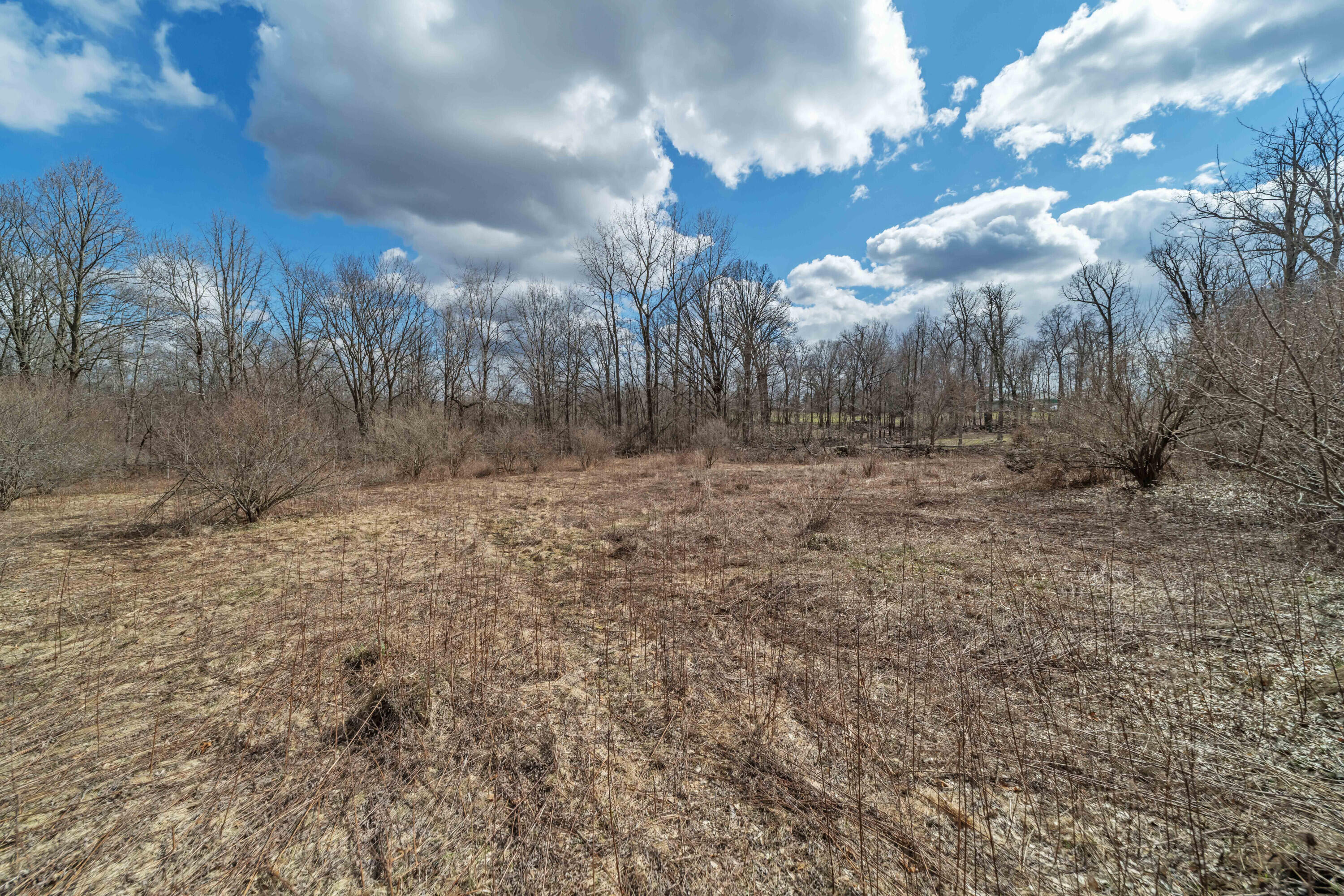 2725 South Duck Lake Road Highland, MI 48356 - Photo 7 of 24 00__18