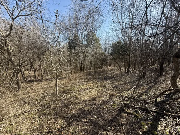 $195,000 | 0 Epps Road, Southside, TN 37171