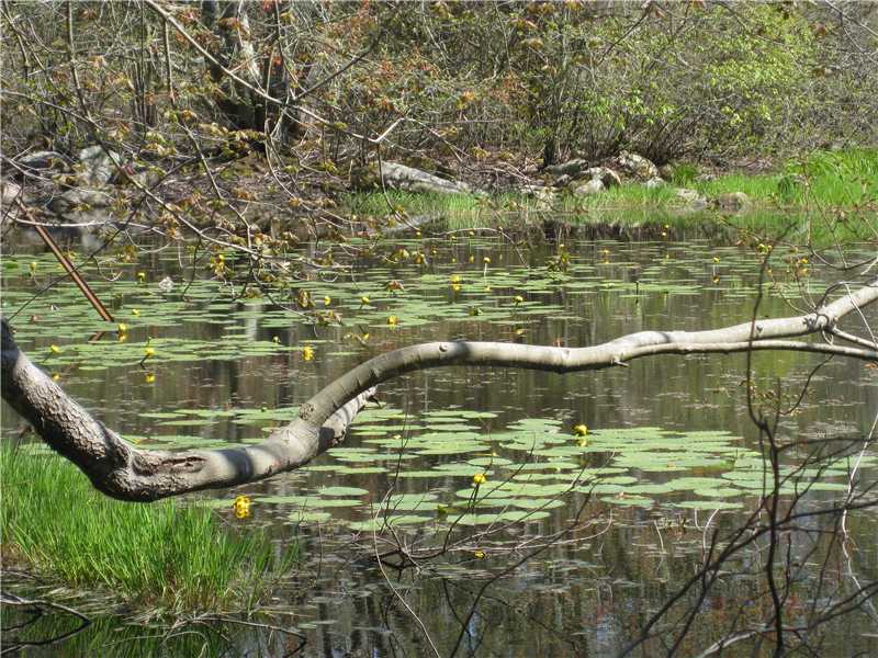 6 Fox Run Westerly, RI 02891 - Photo 12 of 13 Other.