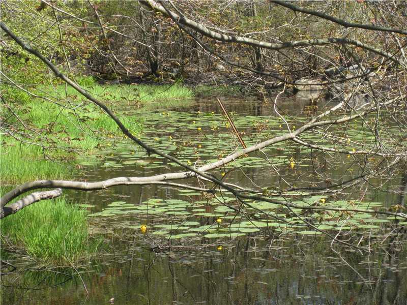 6 Fox Run Westerly, RI 02891 - Photo 13 of 13 Other.