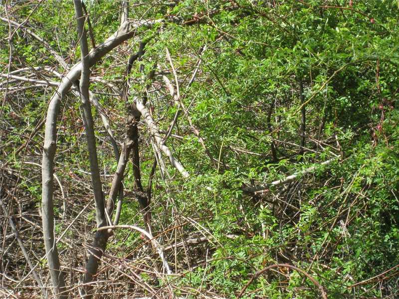 6 Fox Run Westerly, RI 02891 - Photo 4 of 13 Other.