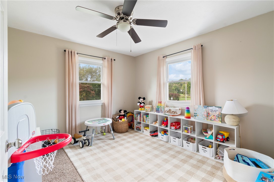 1701 Rheam Road Clinton, OH 44216 - Photo 18 of 31 Rec room featuring carpet and ceiling fan