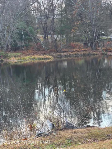 a view of a yard with large trees