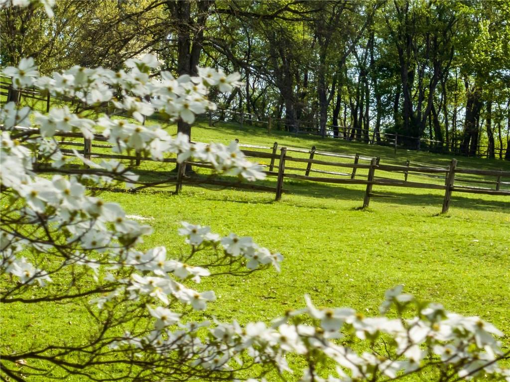 45 Stonedale Road Sewickley, PA 15143 - Photo 11 of 28 a view of yard with swimming pool and trees