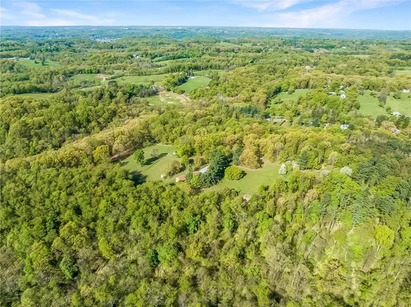a view of a green field with lots of bushes