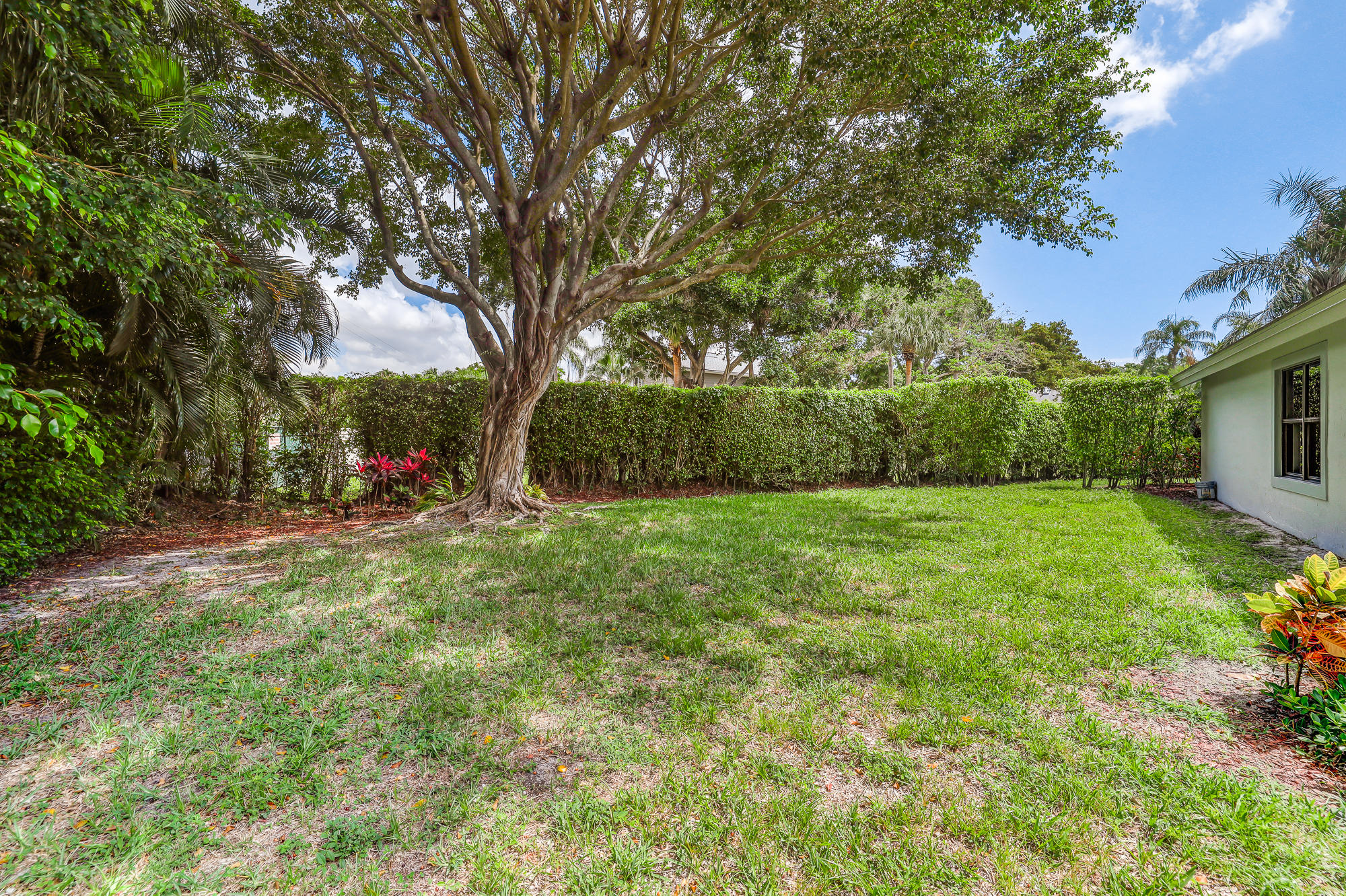 2298 Northwest 8th Street Boca Raton, FL 33431 - Photo 30 of 35 Back yard 2
