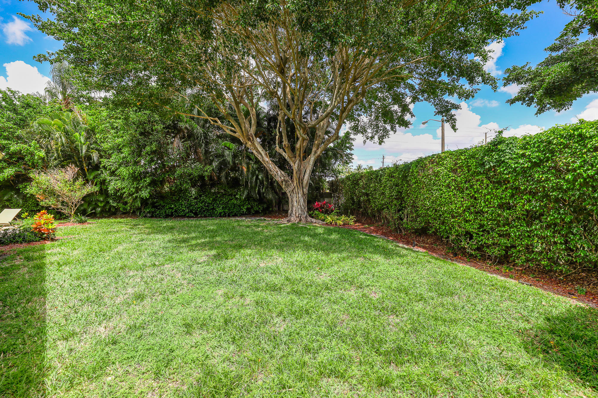 2298 Northwest 8th Street Boca Raton, FL 33431 - Photo 31 of 35 Back yard 3