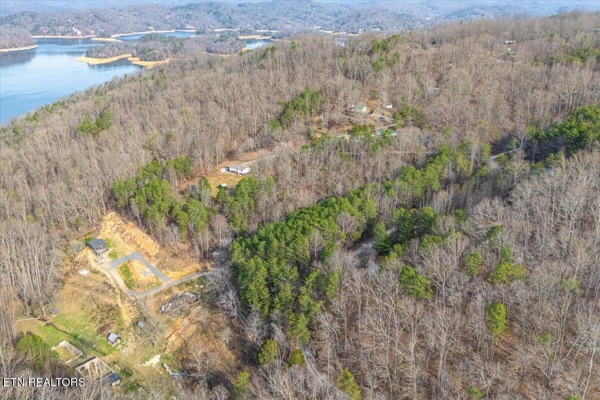 263 Graves Hollow Road Maynardville, TN 37807 - Photo 36 of 47 Lot Line A1