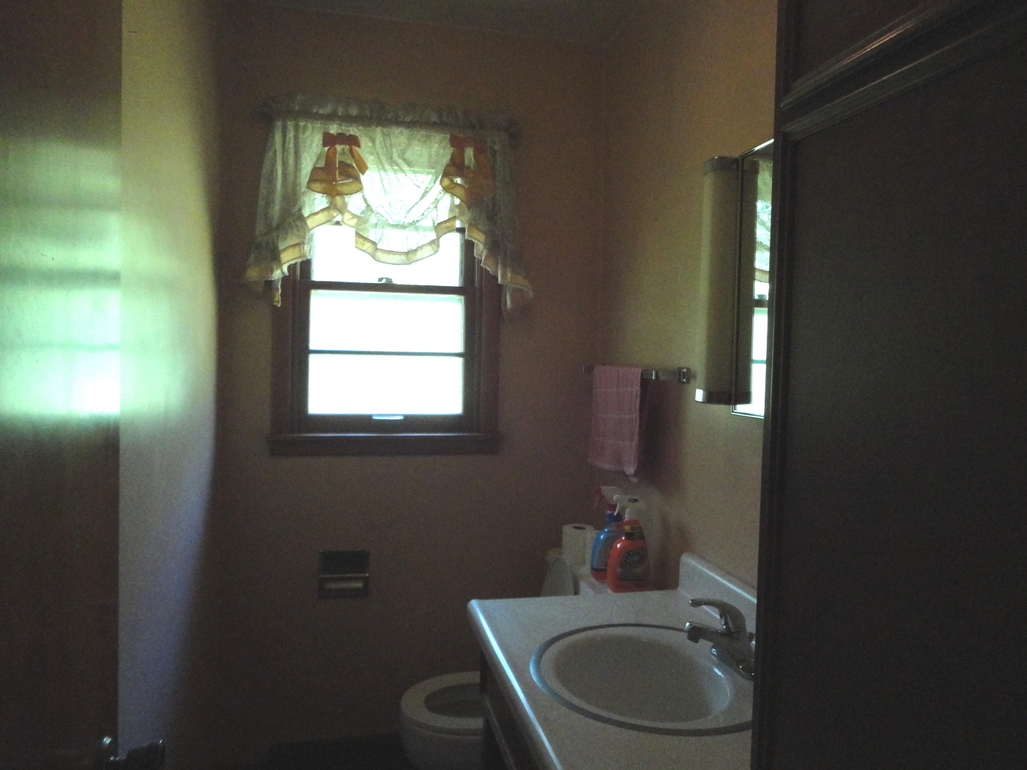 360 South Washington Street Braidwood, IL 60408 - Photo 10 of 18