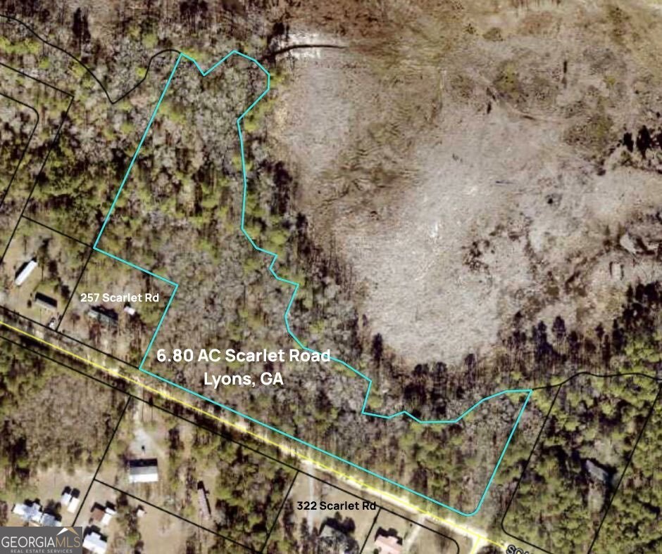 6.80-ac Scarlet Road Lyons, GA 30436 - Photo 1 of 8 Gallery Image 1