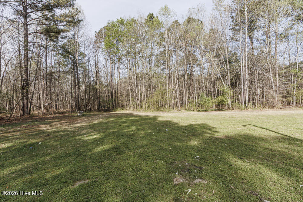 7884 McGregor Road Nashville, NC 27856 - Photo 8 of 49 0011-IMG_5655