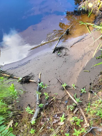 $988,500 | 4239 Forest Point Drive, Rhinelander, WI 54501