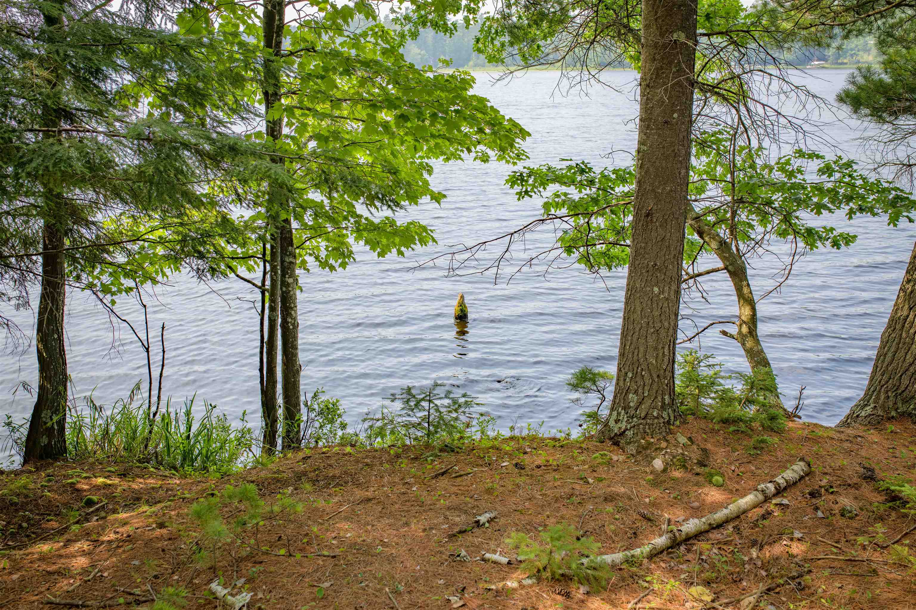 4239 Forest Point Drive Rhinelander, WI 54501 - Photo 41 of 58