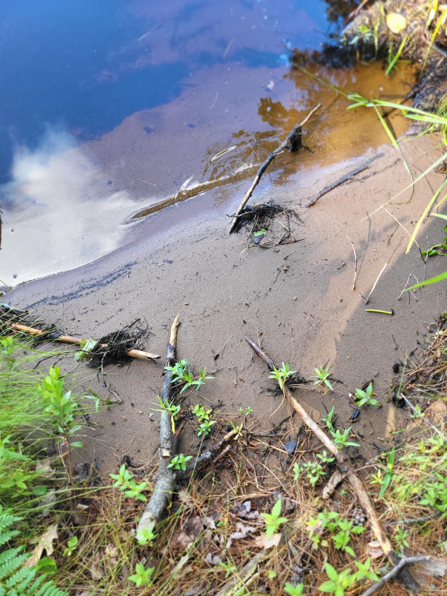 4239 Forest Point Drive Rhinelander, WI 54501 - Photo 42 of 58