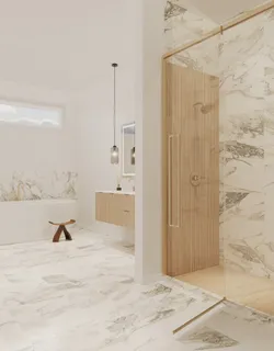 a view of a bathroom shower and a tub