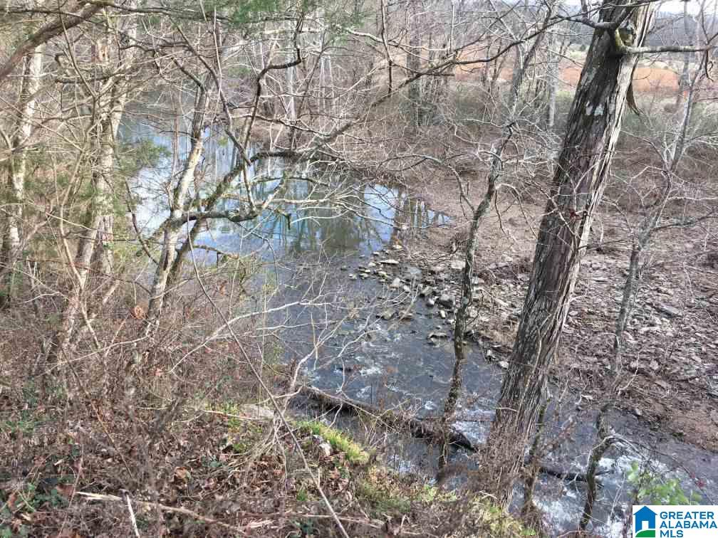 33 County Road, Unit 48 Oneonta, AL 35121 - Photo 26 of 33
