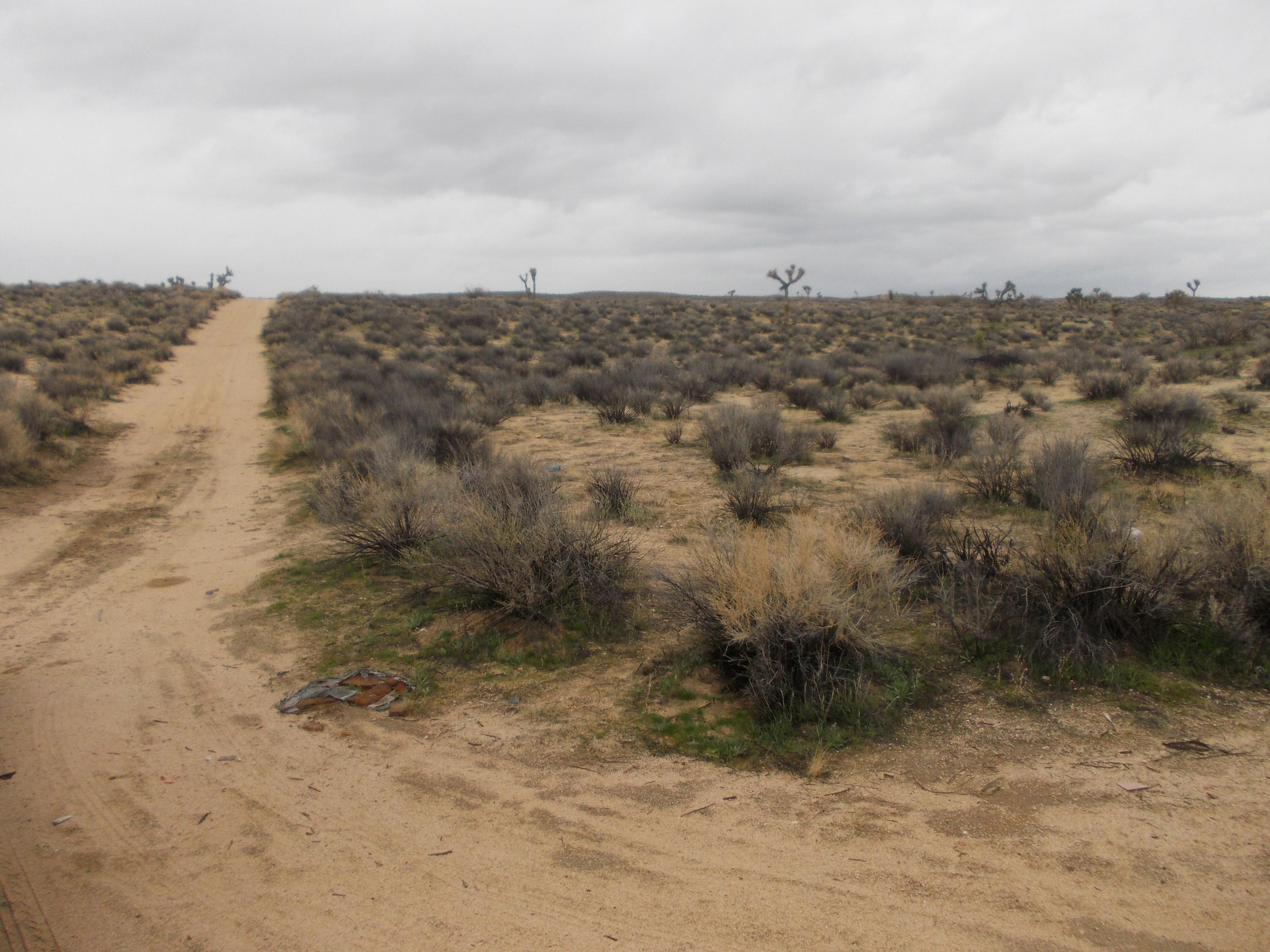 S/o Dawn Road Mojave, CA 93560 - Photo 9 of 10 DSCN6486
