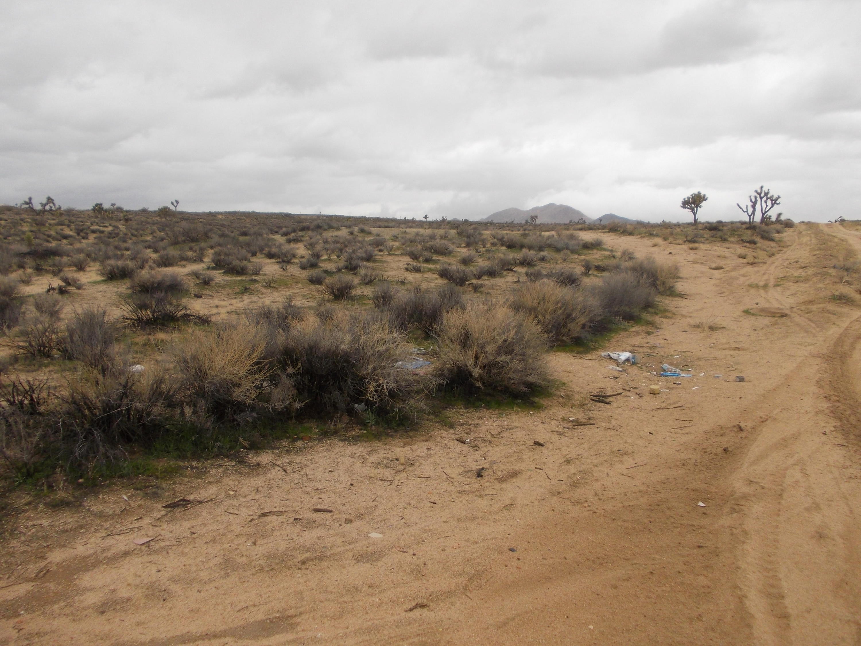 S/o Dawn Road Mojave, CA 93560 - Photo 10 of 10 DSCN6487