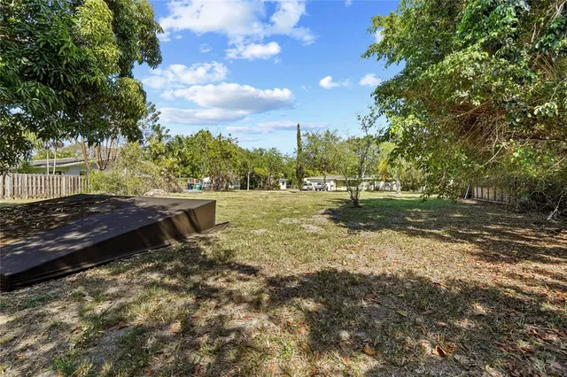 a view of a park with large trees