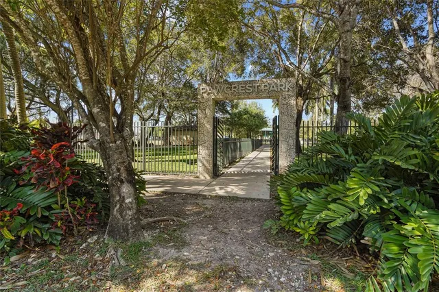 a view of a yard with plants and large trees
